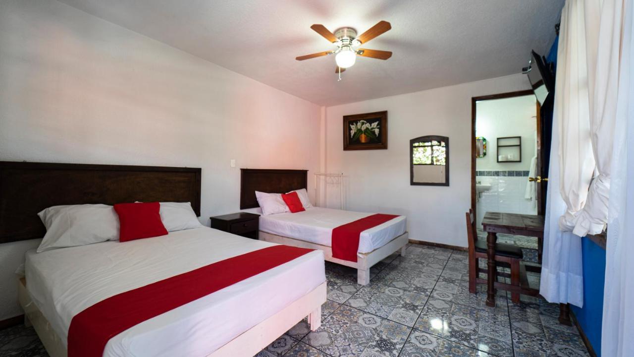Hotel Posada Bugambilias San Luis Potosí Dış mekan fotoğraf