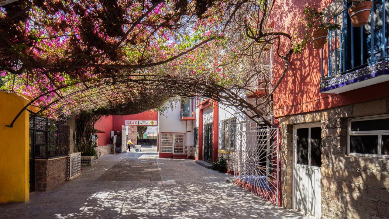 Hotel Posada Bugambilias San Luis Potosí Dış mekan fotoğraf