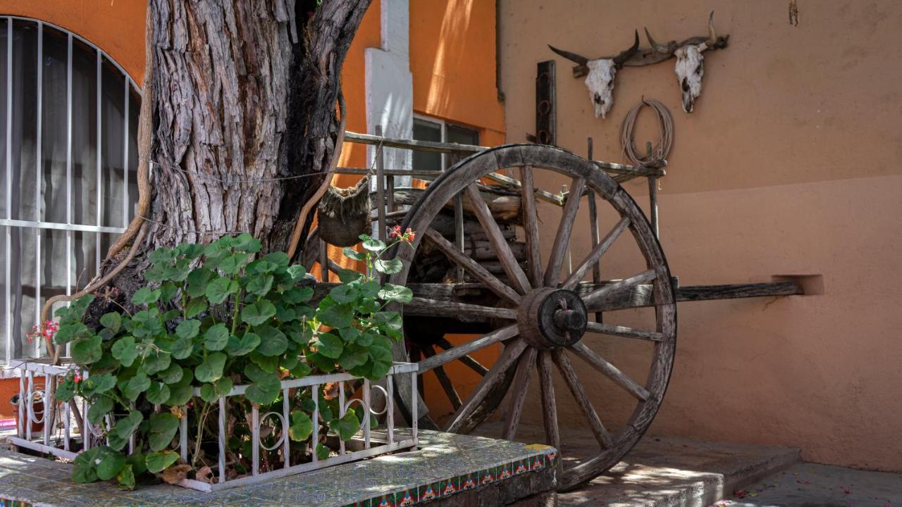 Hotel Posada Bugambilias San Luis Potosí Dış mekan fotoğraf