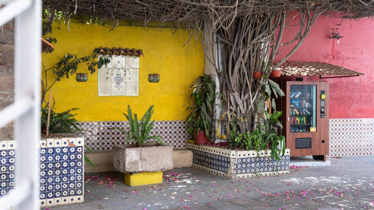 Hotel Posada Bugambilias San Luis Potosí Dış mekan fotoğraf