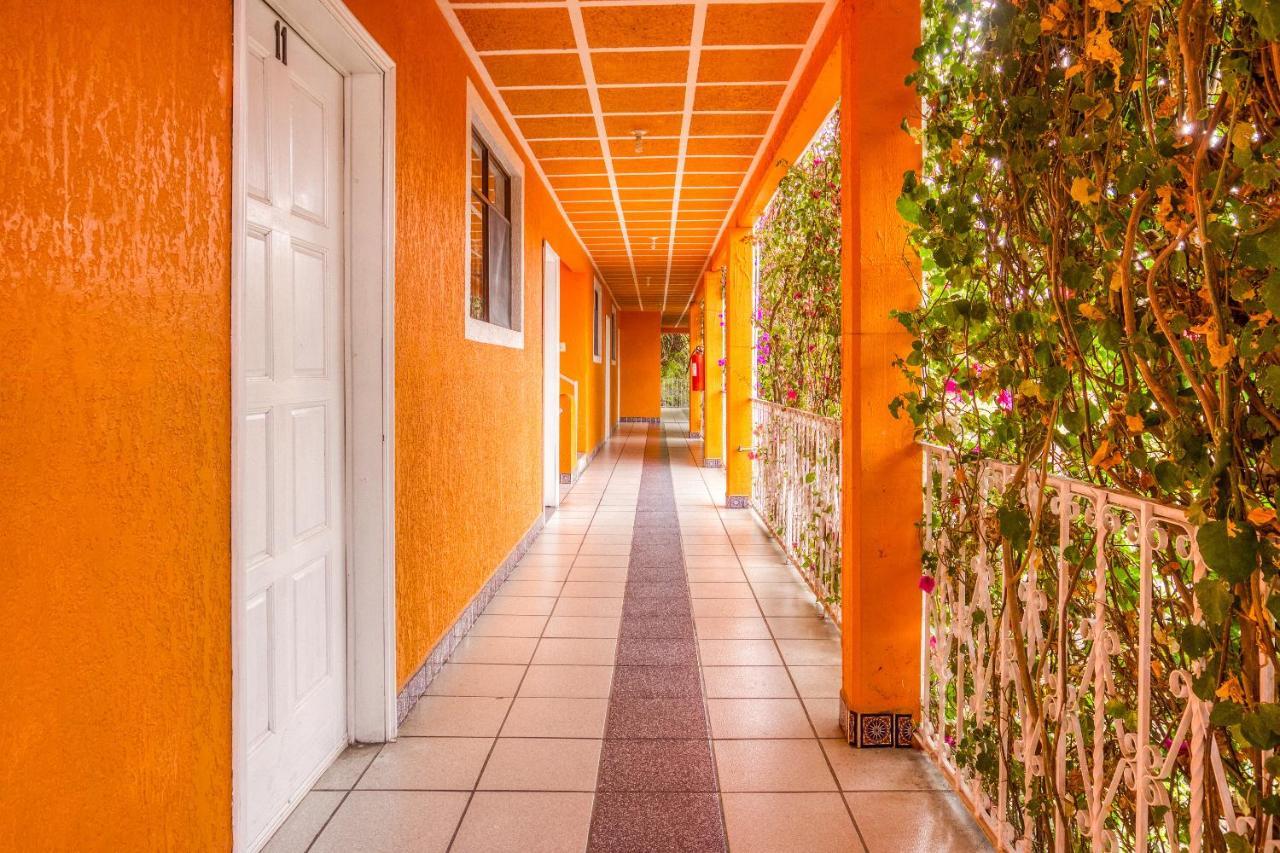 Hotel Posada Bugambilias San Luis Potosí Dış mekan fotoğraf